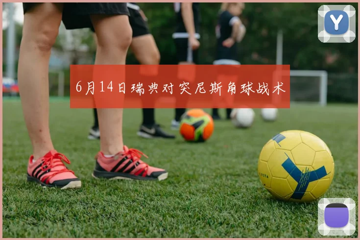 6月14日瑞典对突尼斯角球战术
