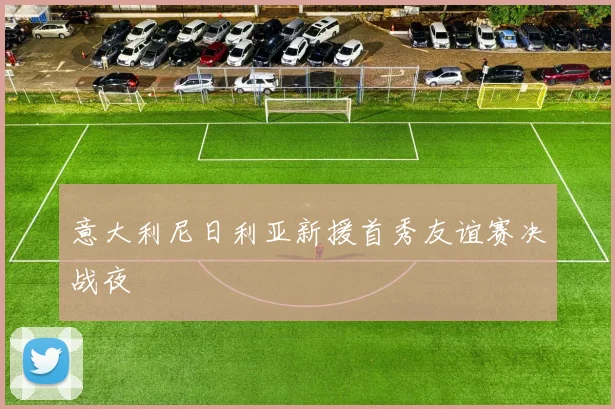 意大利尼日利亚新援首秀友谊赛决战夜