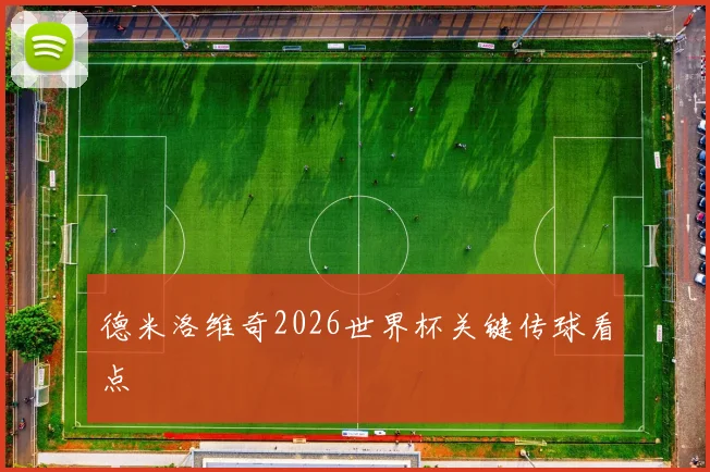 德米洛维奇2026世界杯关键传球看点