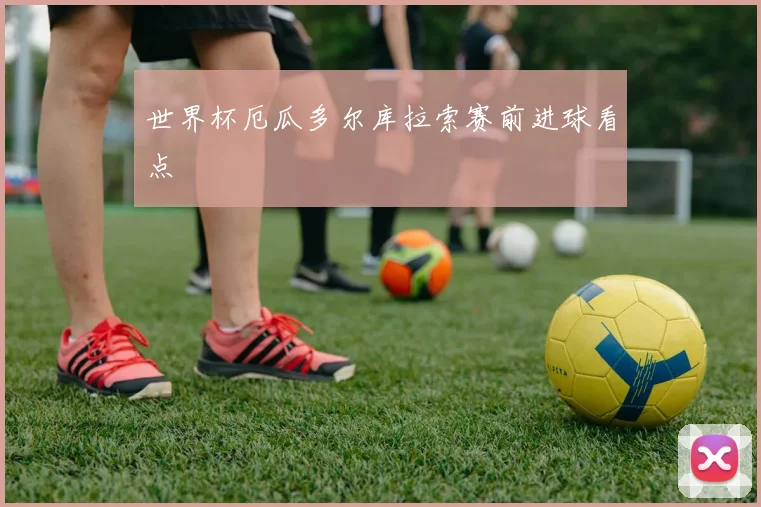 世界杯厄瓜多尔库拉索赛前进球看点