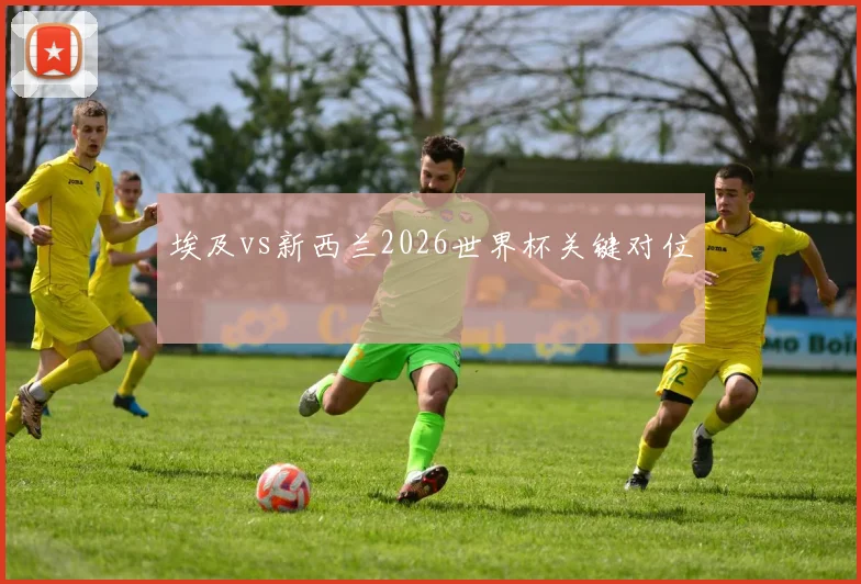 埃及vs新西兰2026世界杯关键对位