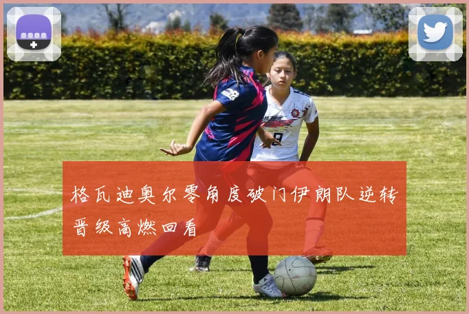 格瓦迪奥尔零角度破门伊朗队逆转晋级高燃回看