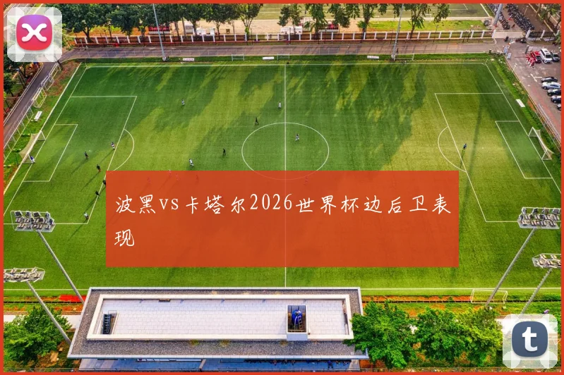 波黑vs卡塔尔2026世界杯边后卫表现