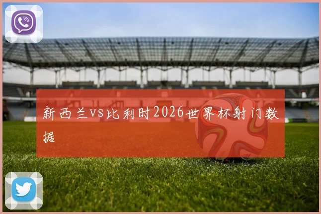 新西兰vs比利时2026世界杯射门数据