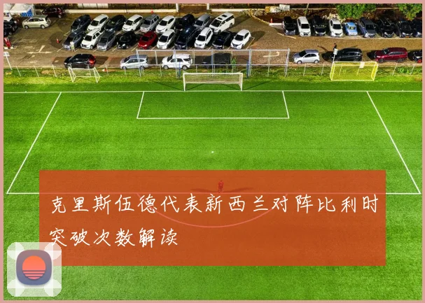 克里斯伍德代表新西兰对阵比利时突破次数解读
