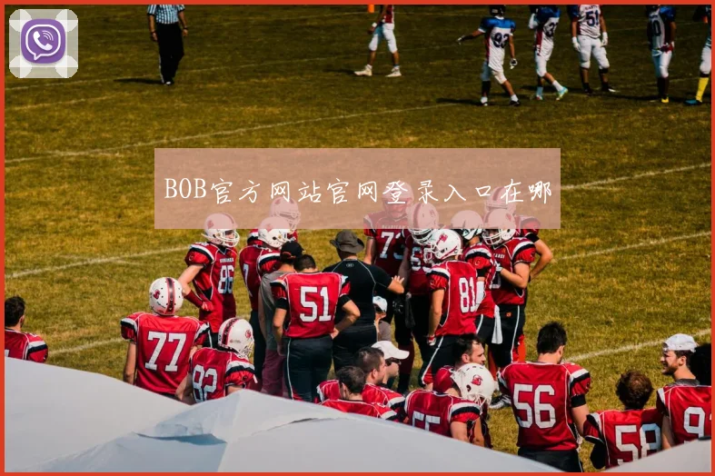 BOB官方网站官网登录入口在哪