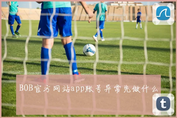 BOB官方网站app账号异常先做什么