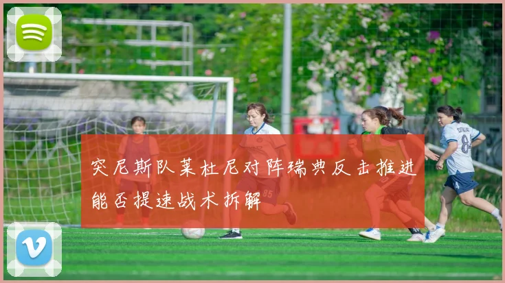 突尼斯队莱杜尼对阵瑞典反击推进能否提速战术拆解