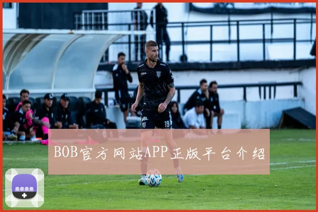 BOB官方网站APP正版平台介绍