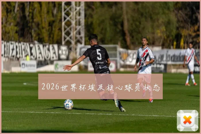 2026世界杯埃及核心球员状态