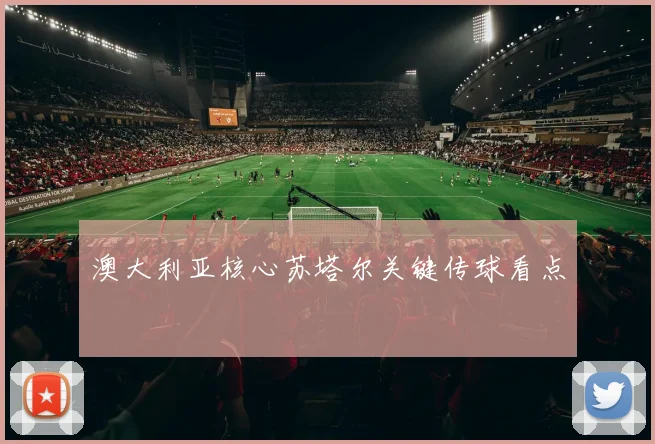 澳大利亚核心苏塔尔关键传球看点