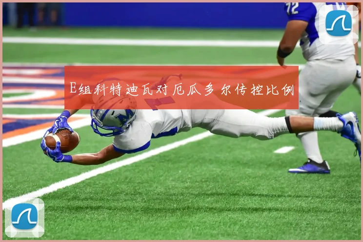 E组科特迪瓦对厄瓜多尔传控比例